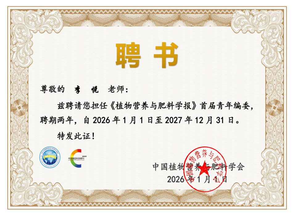image2.png